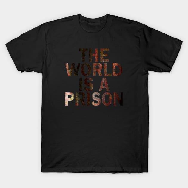 The World is a Prison (Roseschelle: Bellevenue) T-Shirt by The Glass Pixel